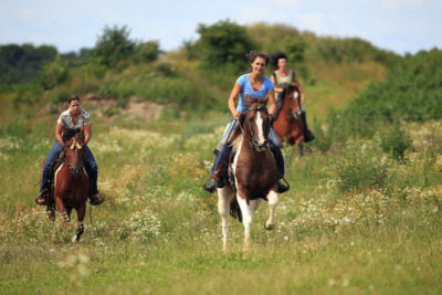 horseback riding