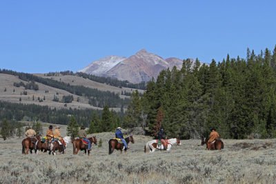 horseback yellowstone