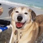 kaaren johnson parsons